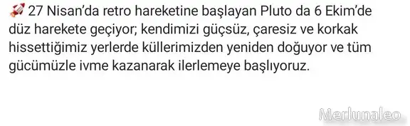 mm.webp