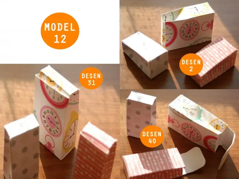model 12 desen 2 31 40.webp