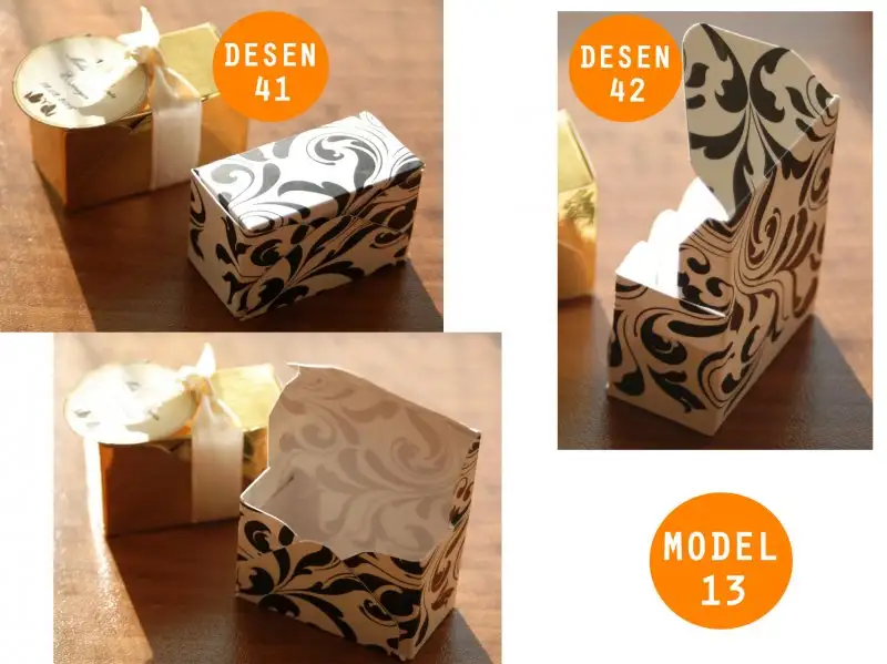 model 13 desen 41 42.webp