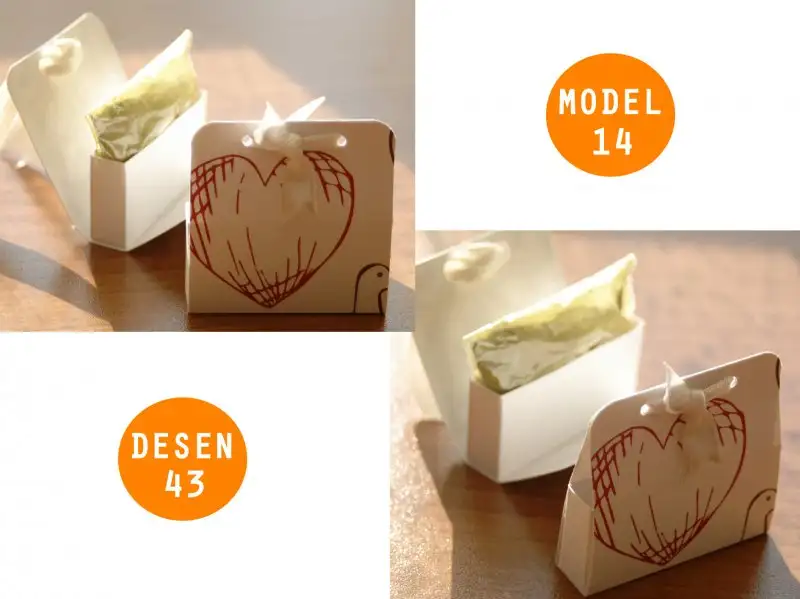 model 14 desen 43mix.webp