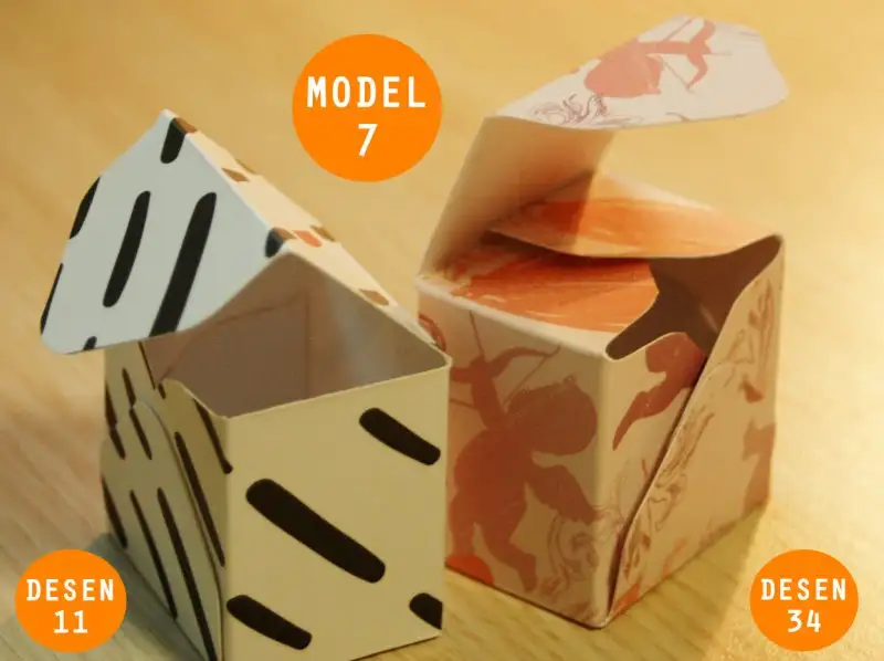 Model 7 Desen 11-34.webp