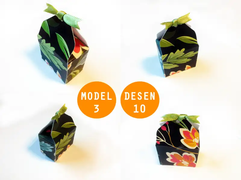 model3 desen 10.webp