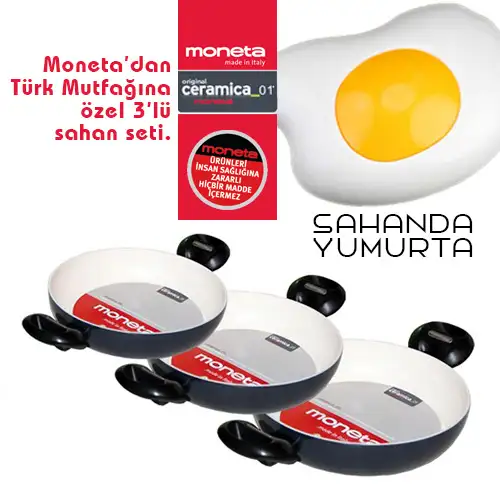 moneta 2.webp