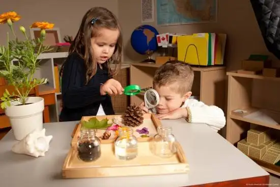 montessori.webp
