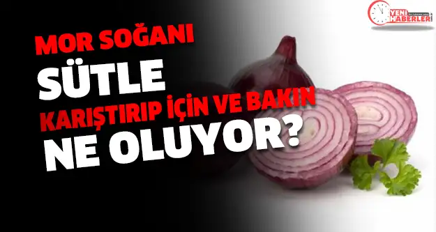 mor_sogani_sutle_karistirip_icin_.webp