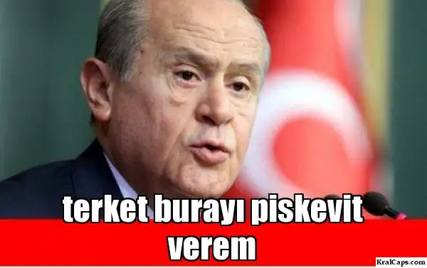 mqc0hp.webp