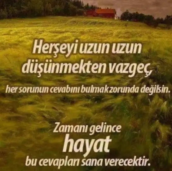 mrst2 (1).webp