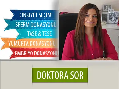 murude_cakartas_dagdelen.webp