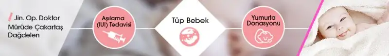 Mürüde_Cakartas_Dagdelen.webp