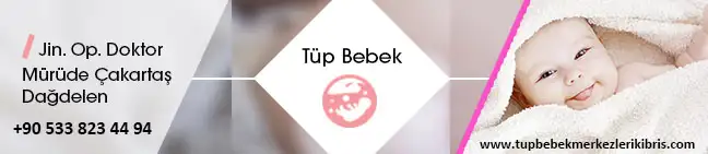 Mürüde_Cakartas_Dagdelennn.webp