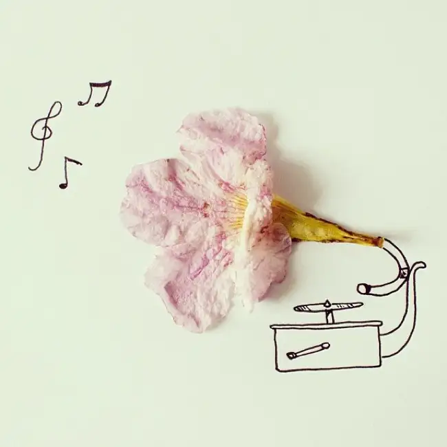 müzik-kutusu.webp