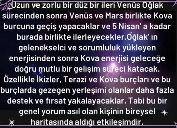 mv1 (2).webp