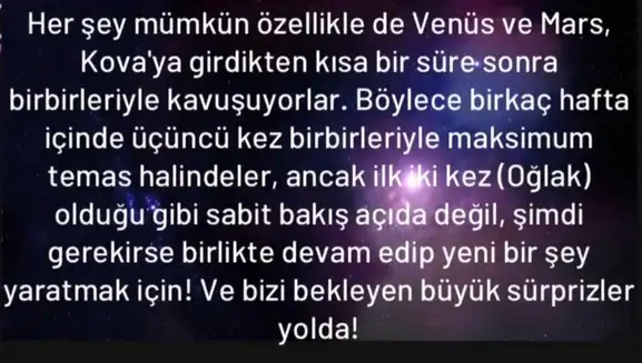 mv1 (5).webp