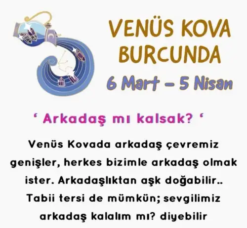mv12 (1).webp
