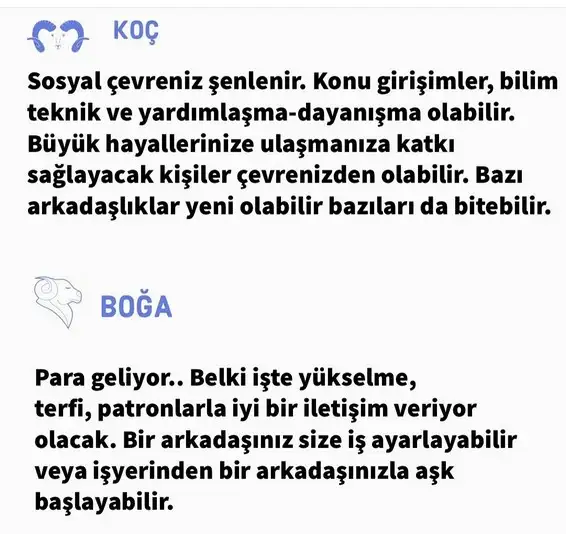 mv12 (3).webp