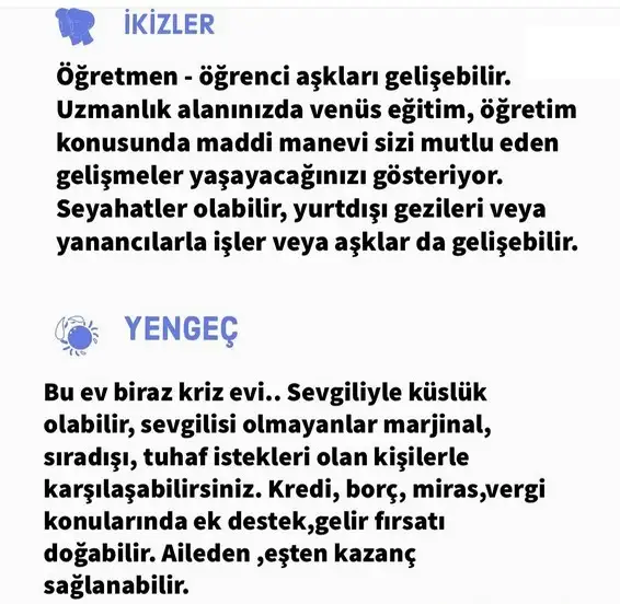 mv12 (4).webp