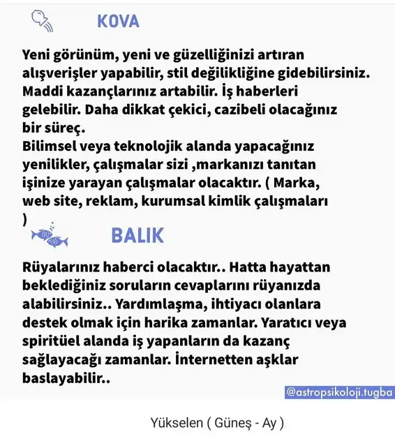 mv12 (8).webp