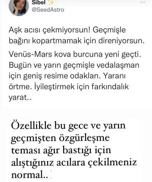 mv13.webp