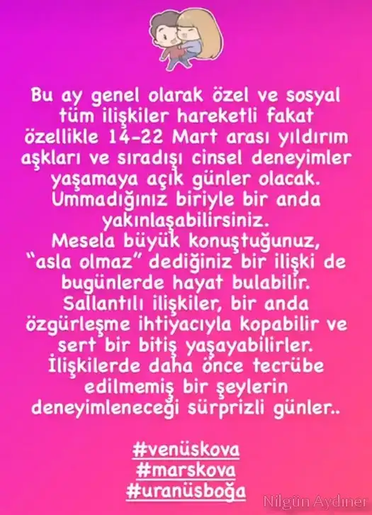 mv6 (2).webp
