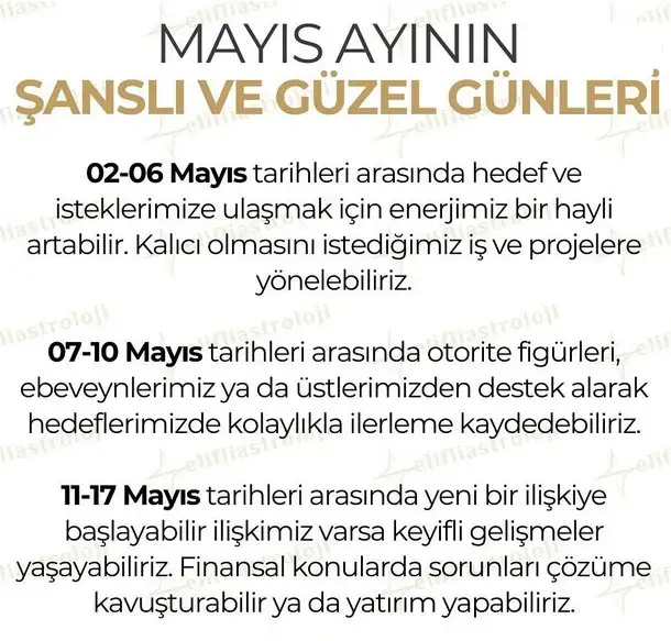 mys ayl (1).webp