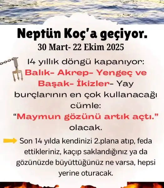 n.webp