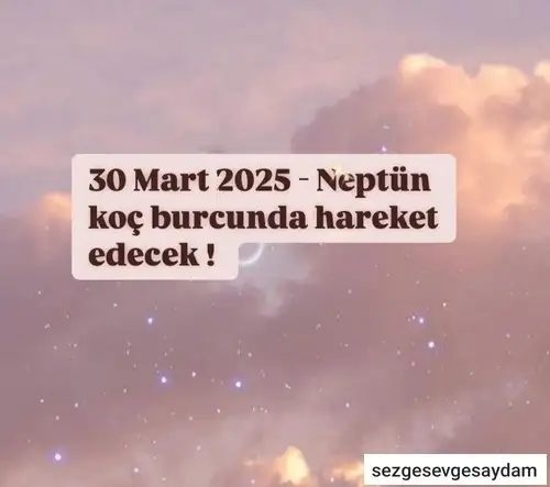 n1 (1).webp