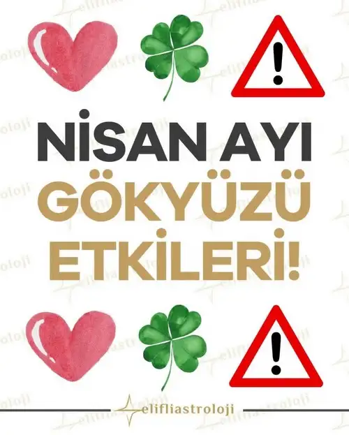 n1 (1).webp