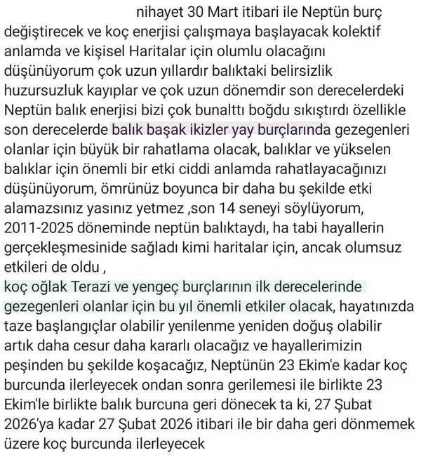 n1 (2).webp