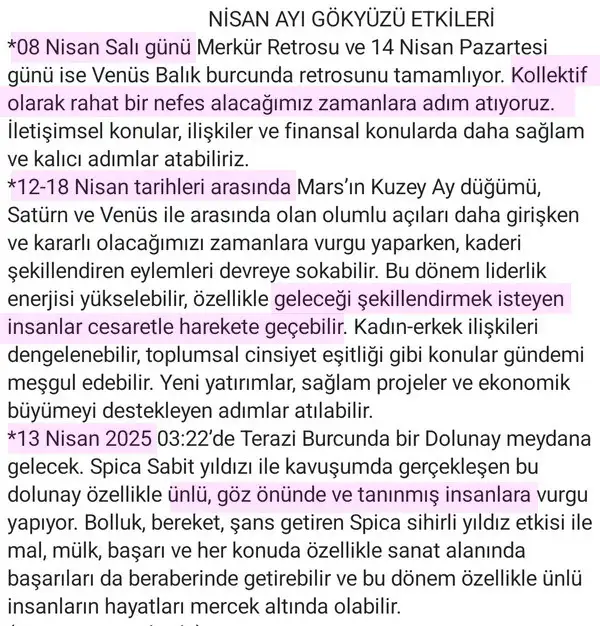 n1 (2).webp