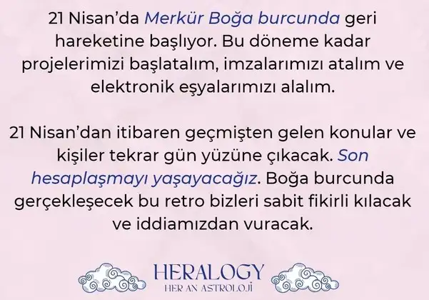 N1 (3).webp
