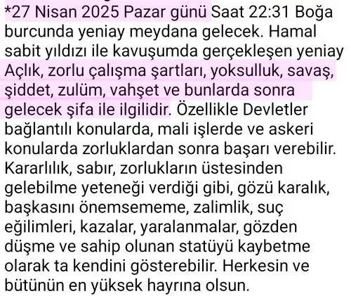 n1 (4).webp