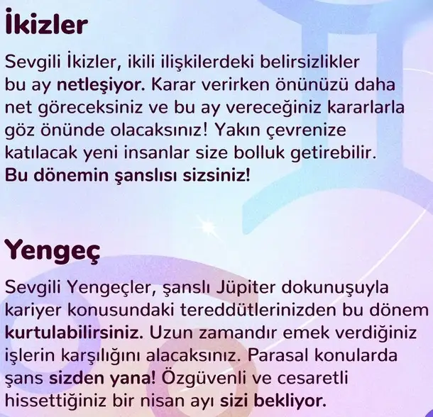 n11 (2).webp