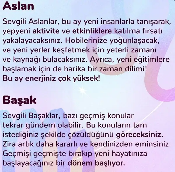 n11 (3).webp