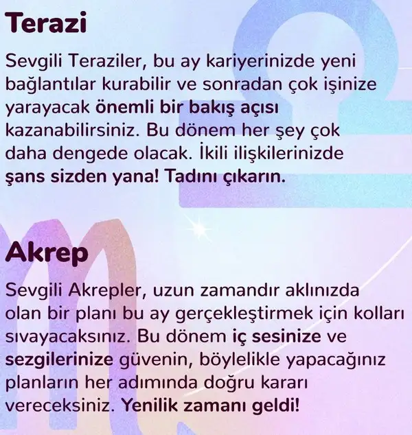 n11 (4).webp