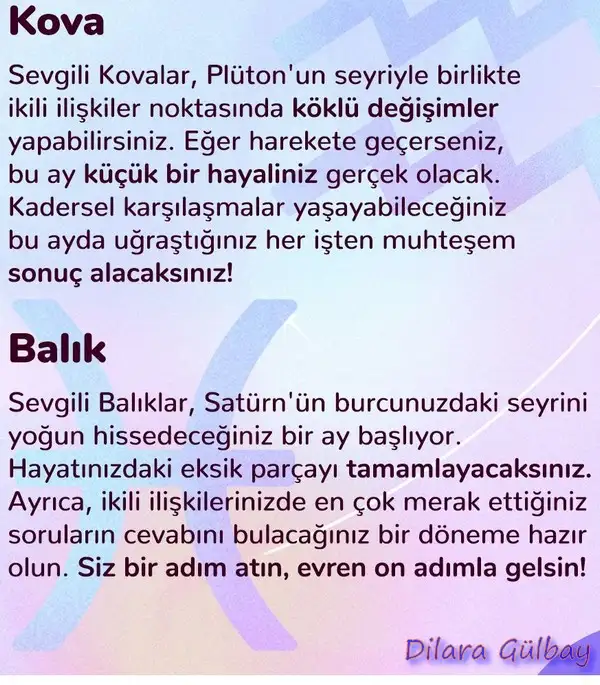 n11 (6).webp