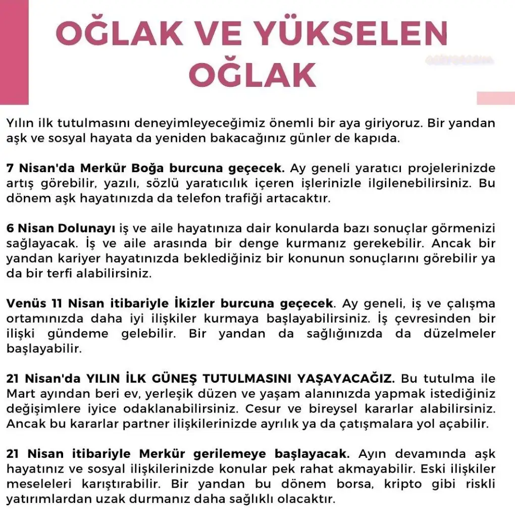 n12 (11).webp
