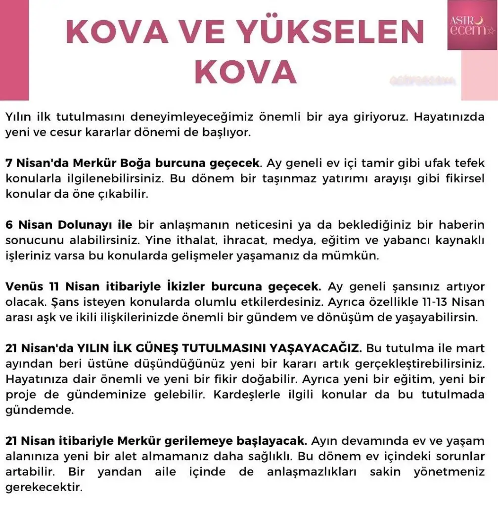 n12 (13).webp