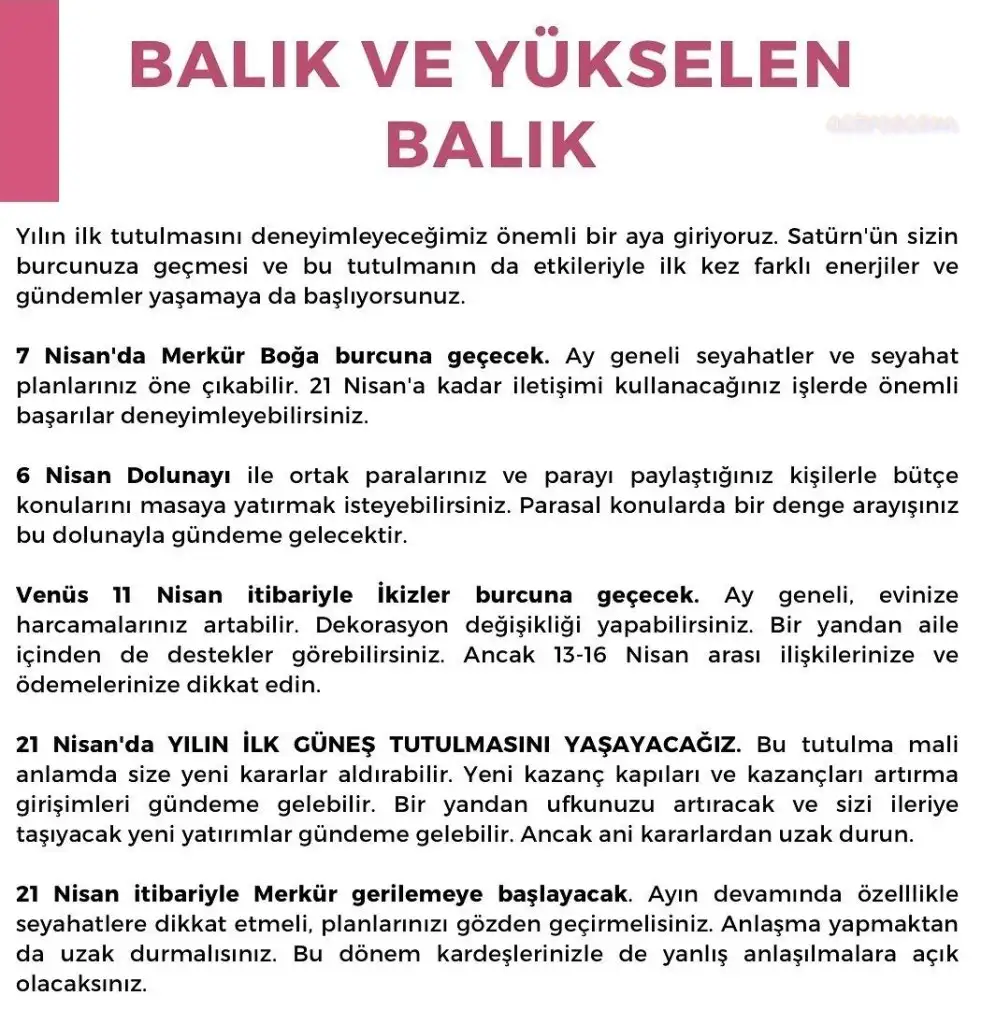 n12 (14).webp