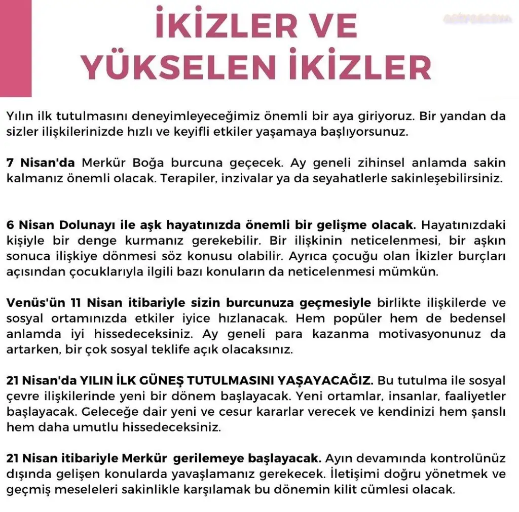 n12 (4).webp