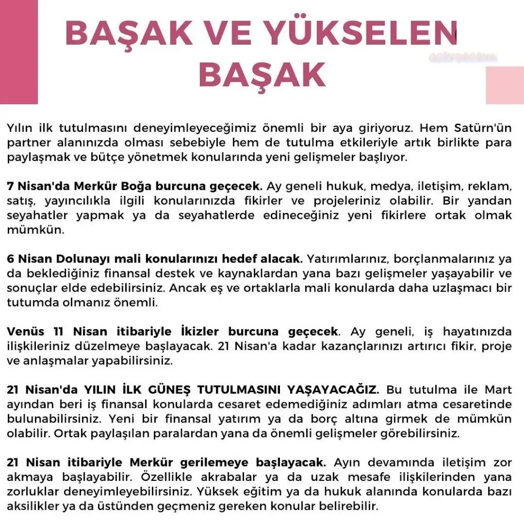 n12 (7).webp