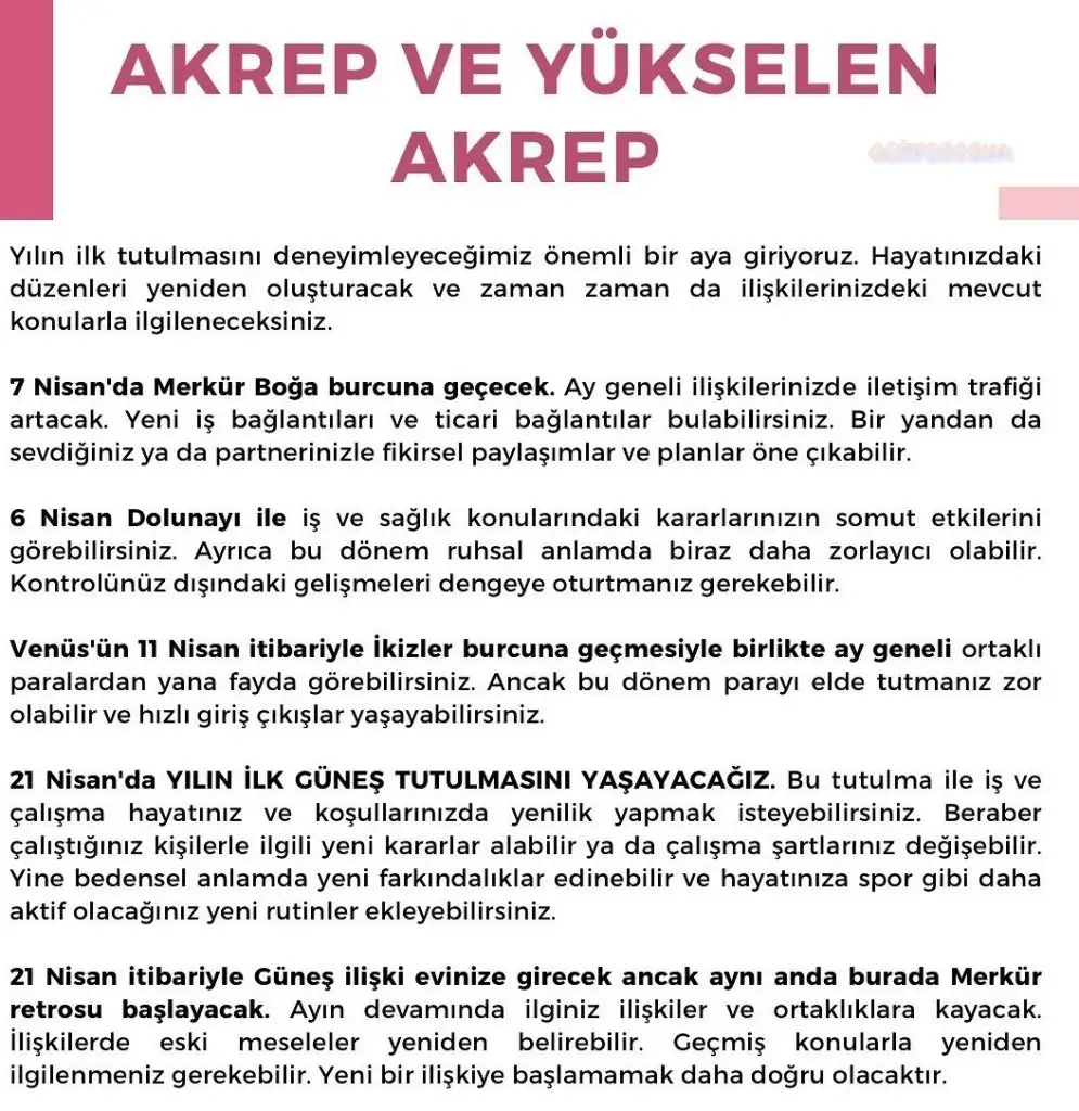 n12 (9).webp