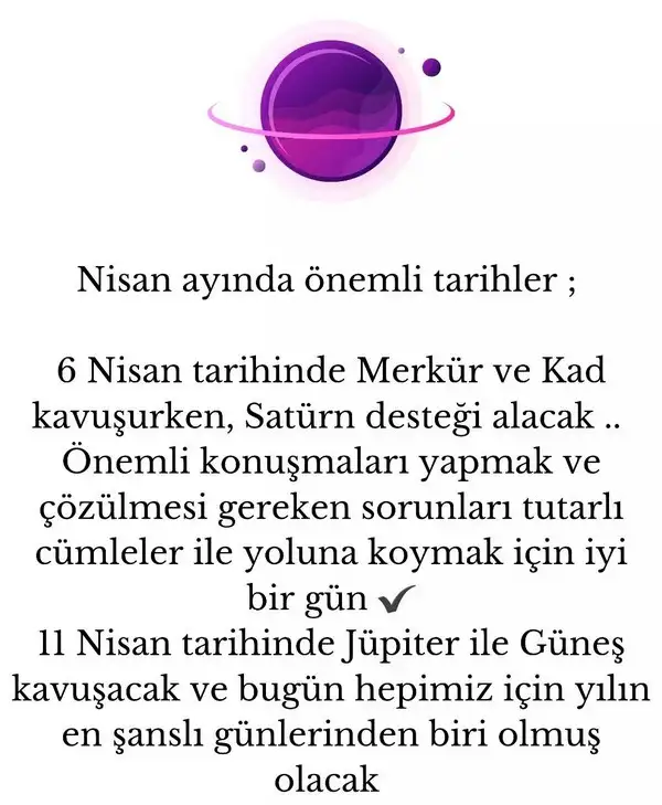 n14 (1).webp