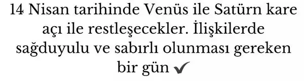n14 (2).webp