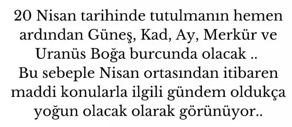 n14 (3).webp