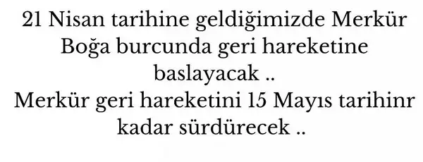 n14 (4).webp