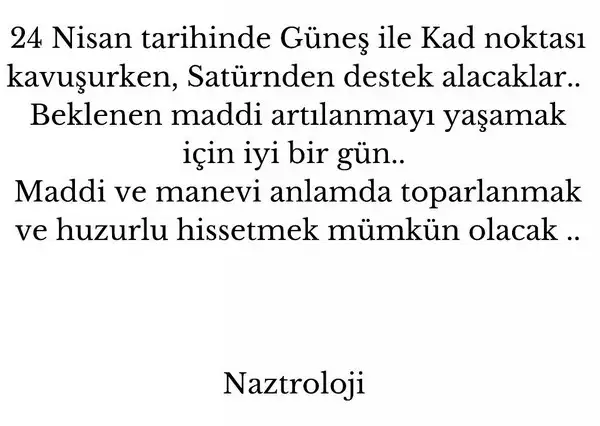 n14 (5).webp