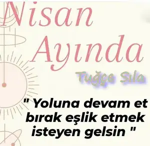 n16 (1).webp