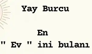 n16 (10).webp