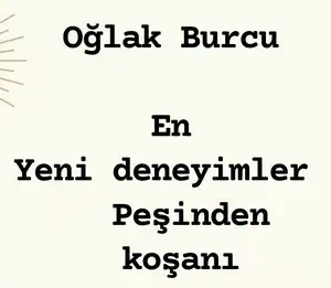 n16 (11).webp