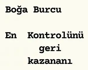 n16 (3).webp